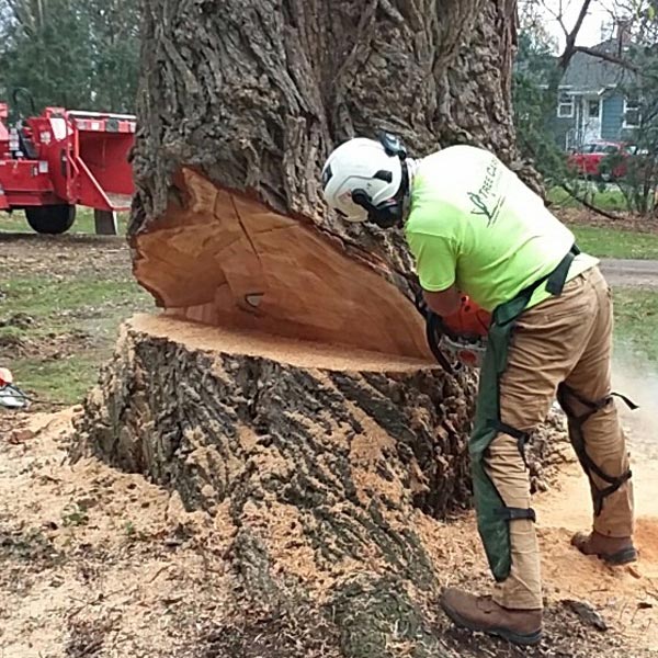 Tree Removal - Fox Valley Tree Care & Landscaping